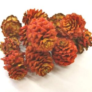 fenyotoboz-kerekded-natur-narancs-hobbykreativ