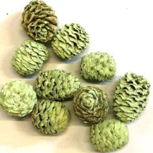 fenyotoboz-pasztell-zold-hobbykreativ