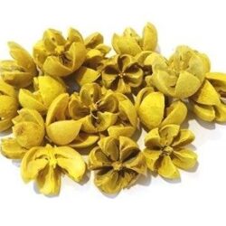 csillagrozsa-sarga-hobbykreativ