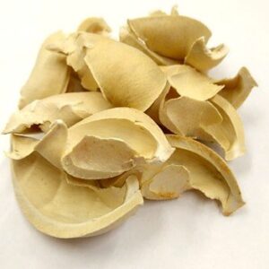 ful-termes-natur-hobbykreativ