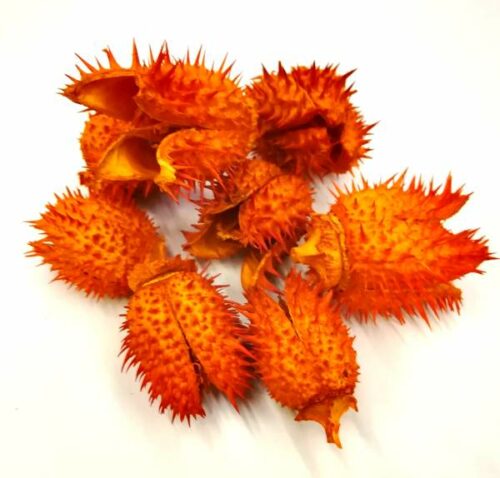 belendek-narancssarga-szaritott-termes-hobbykreativ