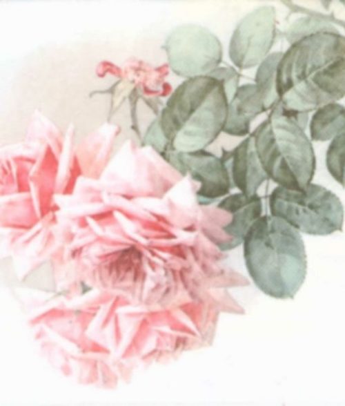 dekorszalveta-summer-roses-hobbykreativ