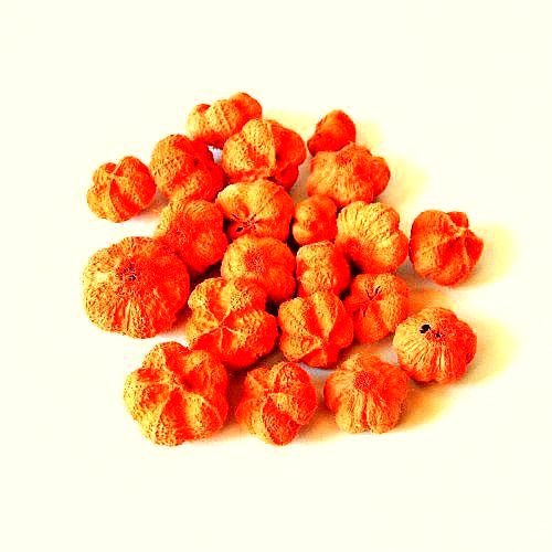 fokhagyma-tok-narancssarga-hobbykreativ