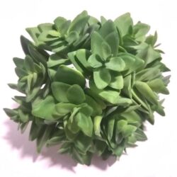 pozsgas-gumi-hobbykreativ