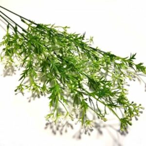 Asparagus műanyag zöld díszítőelem fehér virágokkal 3 szálas