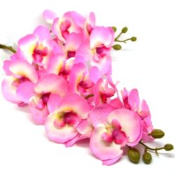 selyem-orchidea-2szalas-rozsaszin-hobbykreativselyem-orchidea-2szalas-rozsaszin-hobbykreativ