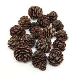 kerek-fenyotoboz-barna-hobbykreativ
