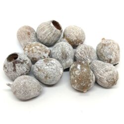 Eukaliptusz-bell-gum-zuzmaras-hobbykreativ