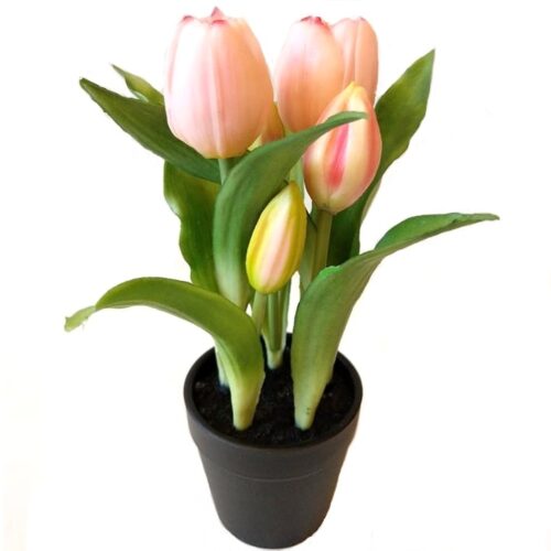 elethu-cserepes-tulipan-muvirag-rozsaszin-hobbykreativ