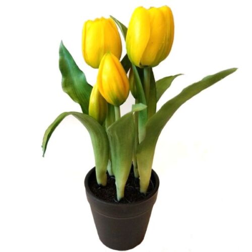 elethu-cserepes-tulipan-muvirag-sarga-hobbykreativ