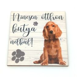 nincsen-otthon-kutya-nelkul-fatabla-spaniel-hobbykreativ