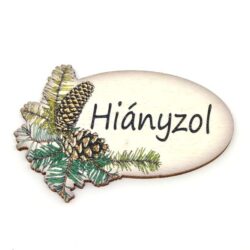 hianyzol-festett-fatabla-tobozos-hobbykreativ