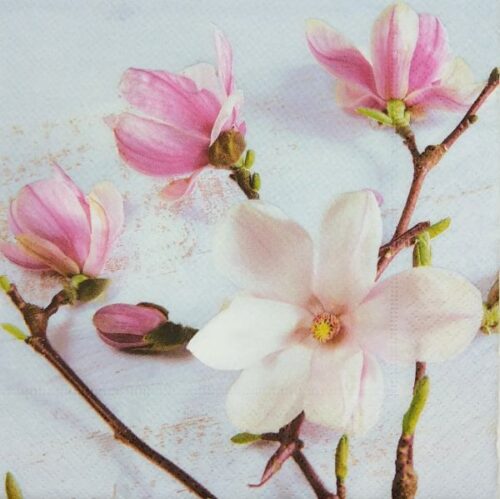 dekorszalveta-magnolia-hobbykreativ