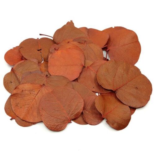 szaritott-narancsos-barna-levelek-hobbykreativ