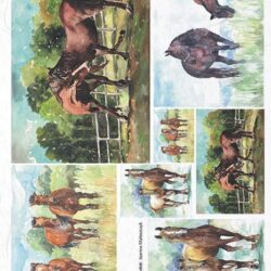 akvarell-lo-lovak-rizspapir-r1217-hobbykreativ