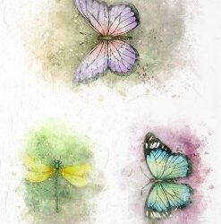 akvarell-pillango-rizspapir-r1606-hobbykreativ