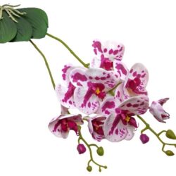elethu-latex-orchidea-levellel-ciklamen-ekru-foltos-hobbykreativ