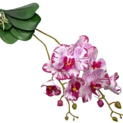 elethu-latex-orchidea-levellel-ciklamen-ekru-pottyos-hobbykreativ