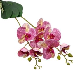 elethu-latex-orchidea-levellel-ciklamen-sarga-erezetes-hobbykreativ