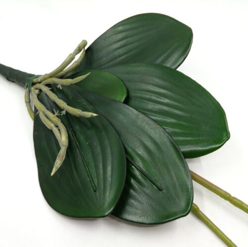 elethu-latex-orchidea-levellel-hobbykreativ