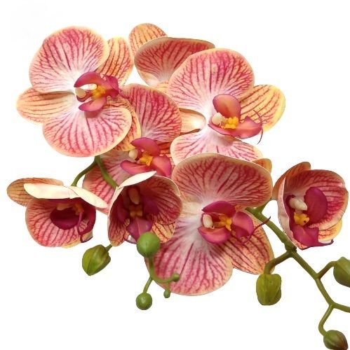 elethu-latex-orchidea-levellel-korall-sarga-erezetes-1-hobbykreativ