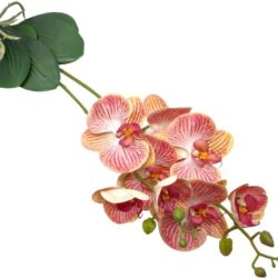 elethu-latex-orchidea-levellel-korall-sarga-erezetes-hobbykreativ