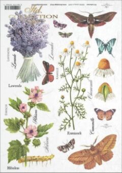 levendula-pillango-virág-termeszet-rizspapir-r0404-hobbykreativ