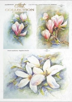 magnolias-festmenyek-rizspapir-r0277-hobbykreativ