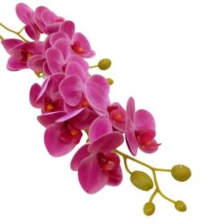 elethu-latex-orchidea-erezetes-ciklamen-hobbykreativ