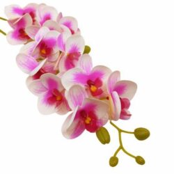 elethu-latex-orchidea-erezetes-pink-hobbykreativ