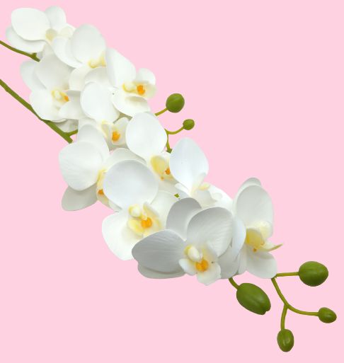 elethu-latex-orchidea-feher-2-szaras-1-hobbykreativ