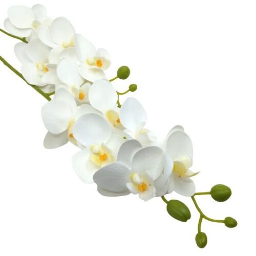 elethu-latex-orchidea-feher-2-szaras-hobbykreativ