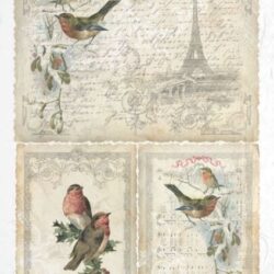 levelek-parizsbol-madarakkal-rizspapir-r0184-hobbykreativ