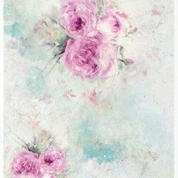 shabby-chic-pasztell-punkosdi-rozsas-rizspapir-r1667-hobbykreativ