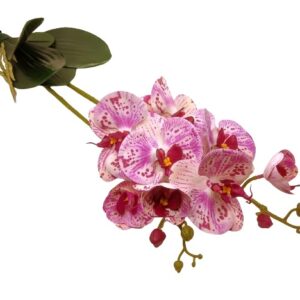 Élethű latex orchidea levéllel erezetes ciklámen-ekrü pöttyös 2 szálas