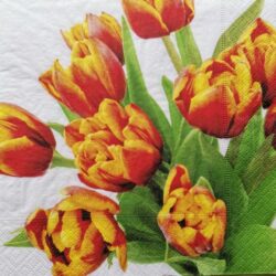 dekorszalveta-tulipanok-hobbykreativ