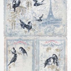 parizsi-level-madarakkal-rizspapir-r0185-hobbykreativ