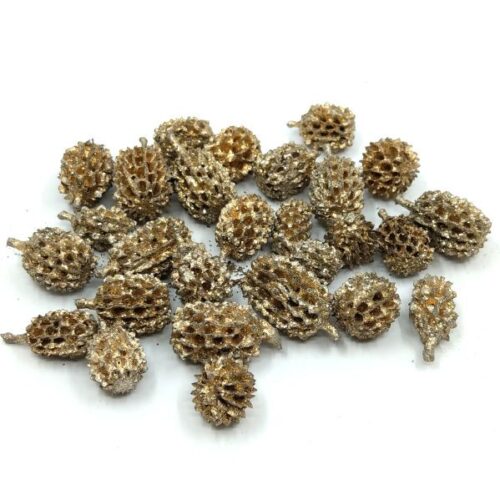 casuarina-szaritott-termes-pezsgoarany-hobbykreativ