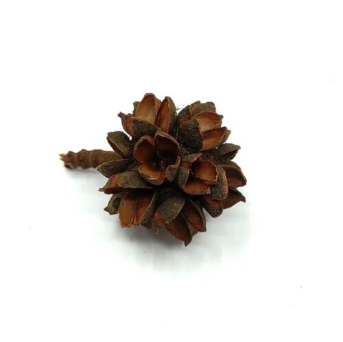 buzogany-szaritott-termes-natur-barna-1-hobbykreativ