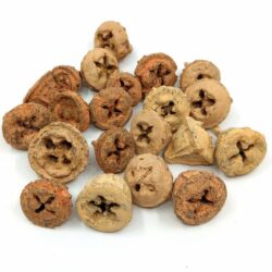 eukaliptusz-gomb-barna-mix-hobbykreativ