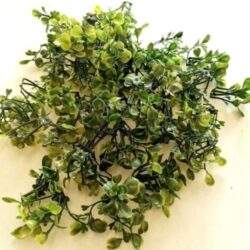 buxus-zold-diszitoelem-csomagban-hobbykreativ