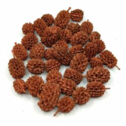 casuarina-szaritott termes-terrakotta-hobbykreativ