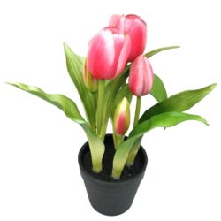 elethu-cserepes-tulipan-muvirag-pink-hobbykreativ
