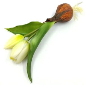 Élethű hagymás tulipán művirág fehér 2 szálas