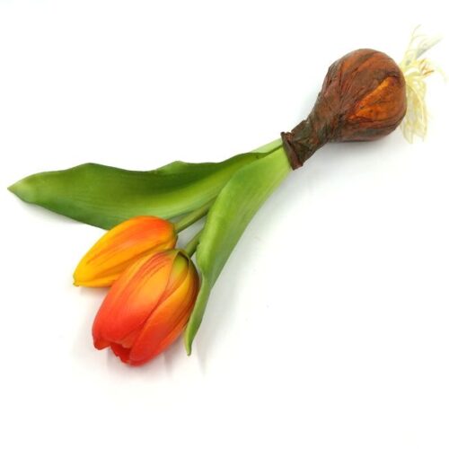 elethu-hagymas-tulipan-muvirag-narancssarga-20565-hobbykreativ