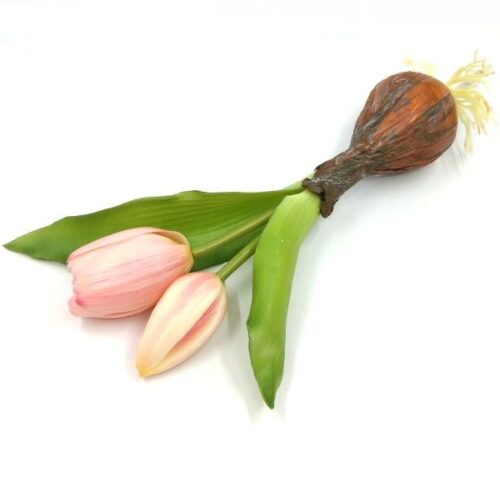 elethu-hagymas-tulipan-muvirag-pasztell-rozsaszin-20565-hobbykreativ