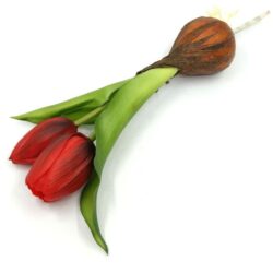 elethu-hagymas-tulipan-muvirag-piros-20565-hobbykreativ