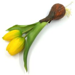 elethu-hagymas-tulipan-muvirag-sarga-20565-hobbykreativ