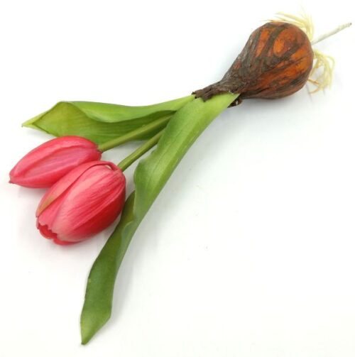 elethu-hagymas-tulipan-muvirag-sotet-rozsaszin-20565-hobbykreativ
