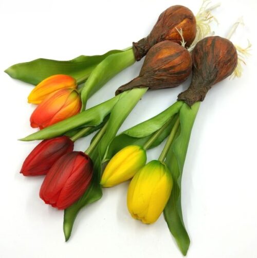 elethu-hagymas-tulipan-muvirag-tobb-szinben-1-20565-hobbykreativ